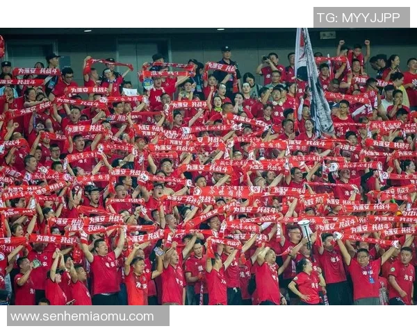 绿茵巨星闪耀赛场激情点燃球迷心中永恒的足球梦想